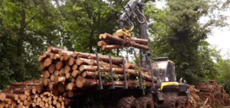 Logging in Symondshire
