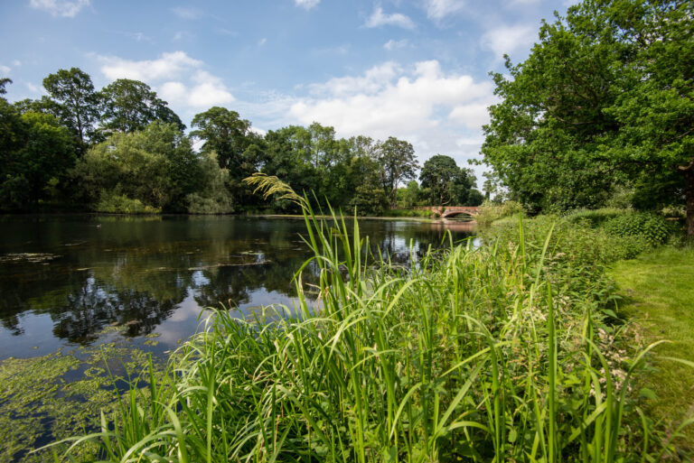The History of the Broadwater