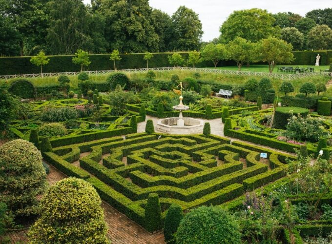 The Knot Garden