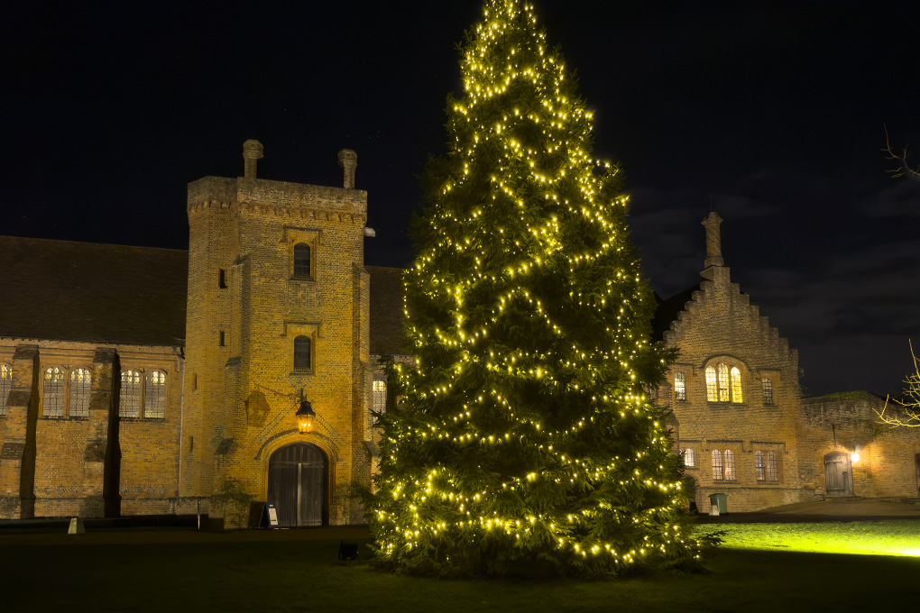 How to Plan Your Work Christmas Party - Hatfield Park at Christmas