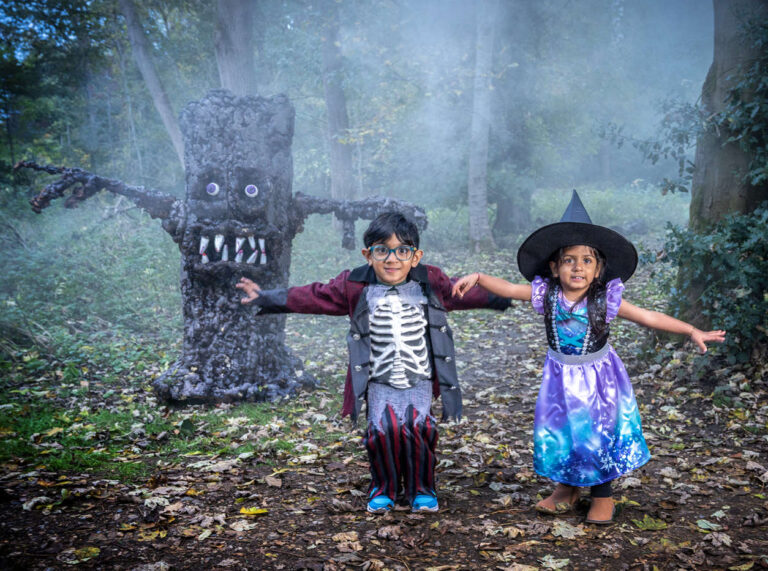Witches and Wizards - Hatfield Park - 2026